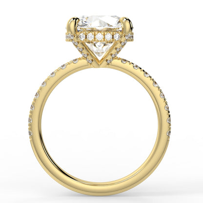 Hiddn Halo Ring